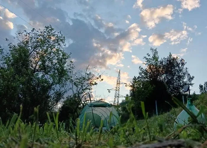 Ilgattonero Orero
